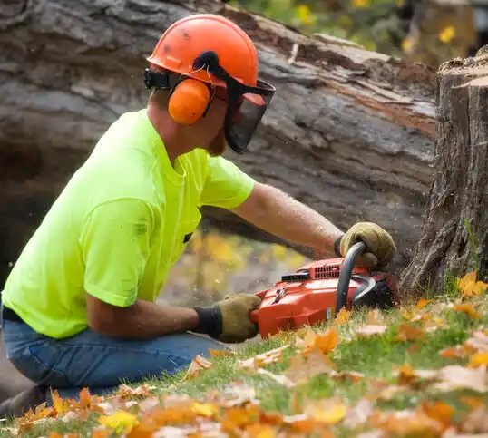 tree services Colesville